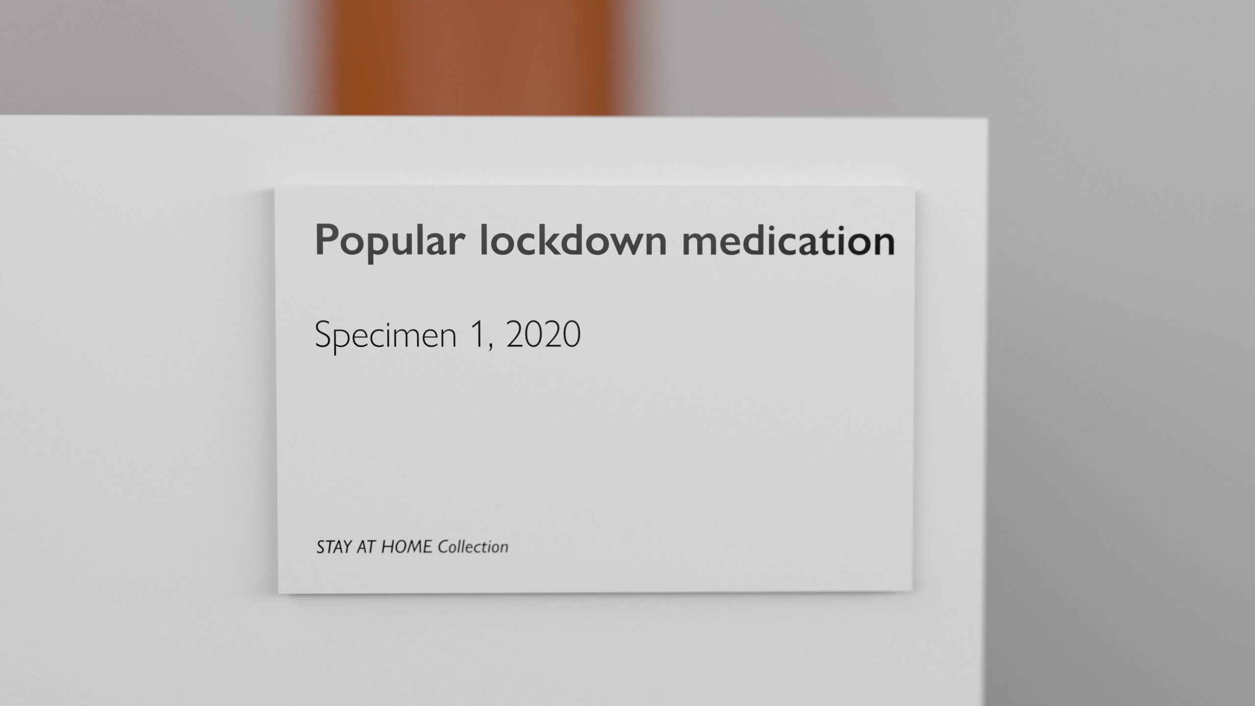 Stay at Home Collection — specimen still 2