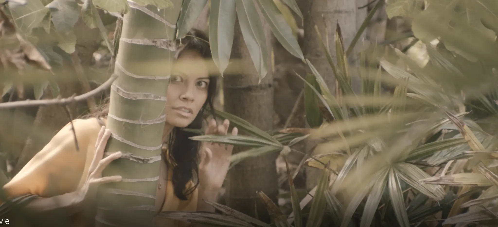 Firewalker — Amazonian jungle scene